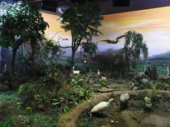 -陕西自然博物馆