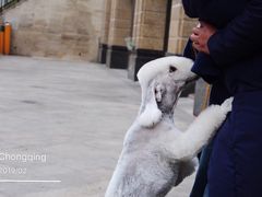 -重庆市江北嘴中央商务区中央公园