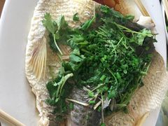 -长隆农庄