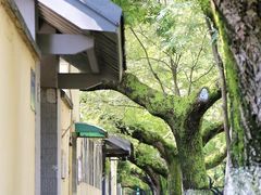 -颐和路民国时期公馆风貌区