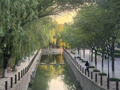 -山东艺术学院(长清校区)