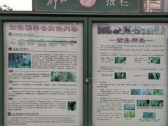 -嘉定紫藤园