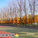 大连市内5个赏秋色秋叶好地方
