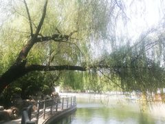 -莲湖公园