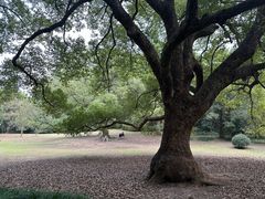 -杭州植物园