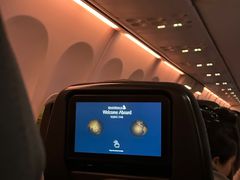 -新加坡航空公司(ION)