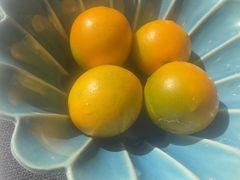 -子福慧(虹桥店)