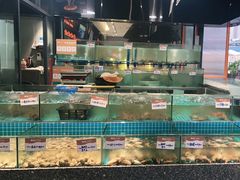 水产区-狮伙海鲜捞(千灯湖店)