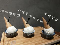 小榄菊花-歎雪糕低糖低脂Gelato冰淇淋