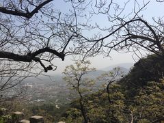 -北京鹫峰国家森林公园