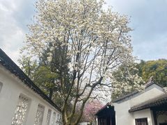 -拙政园