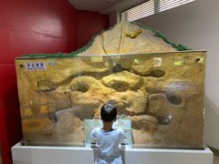 -上海昆虫博物馆