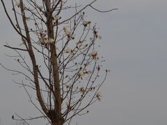 -良渚古城遗址公园