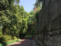 -金鸡山公园