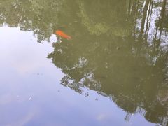 -荔香公园