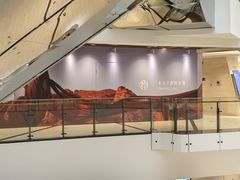 -木九十眼镜(嘉里中心店)