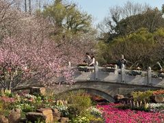 -苏州上方山国家森林公园