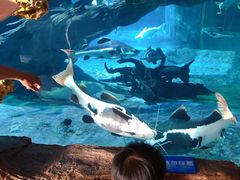 -华夏文旅海洋公园