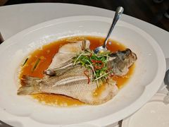 -眉州东坡·熊猫主题餐厅(枫蓝店)