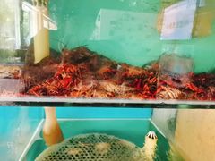 水产区-东极岛海鲜