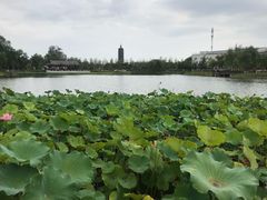 -西海子公园