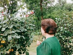 -呼吸森林·生态农庄农家乐私房菜