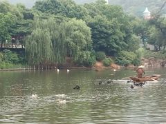-无锡动物园·太湖欢乐园
