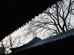 -颐和园