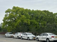 -无忧学车·华茂驾校(宝山校区)