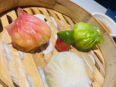 -点都德·毕德寮