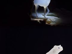 -深圳珠宝博物馆