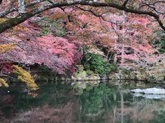-醍醐寺