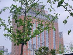 -中南大学湘雅医院