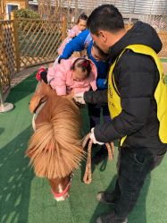 -萌宠亲子动物乐园(槐房万达店)