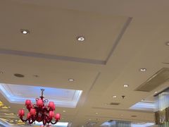 -东国海鲜火锅城(氹仔店)