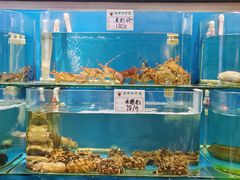 -荣祥海鲜·烟台菜(胜利路二部)