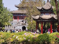 -洛阳白马寺