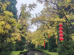 -大槐树寻根祭祖园
