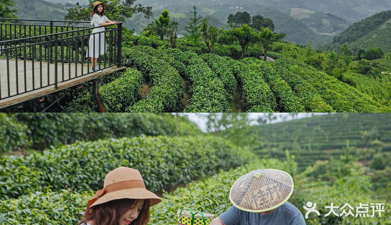 阳朔旅游｜9-10月精华路线‼️值得收藏