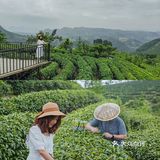 阳朔旅游｜9-10月精华路线‼️值得收藏