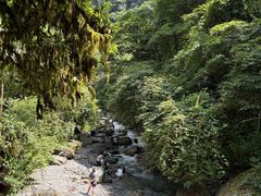 -西岭雪山大飞水景区