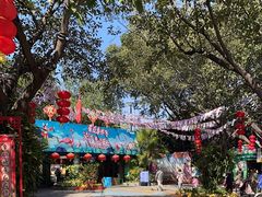 -广州长隆飞鸟乐园