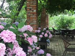 -三圣花乡旅游区