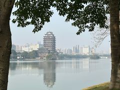 -眉山湿地公园(东坡区)