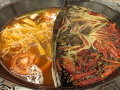 番茄中辣锅-重庆川渝肥妹火锅