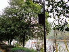 -石燕湖生态旅游景区