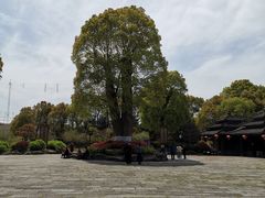 -韩湘水博园