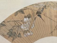 -四川大学博物馆