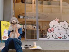 -Seesaw Coffee(上生新所店)