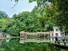 -云南屏边大围山国家公园